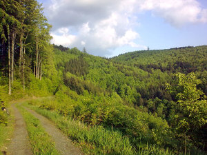 Charakteristika lesní správy Lanškroun